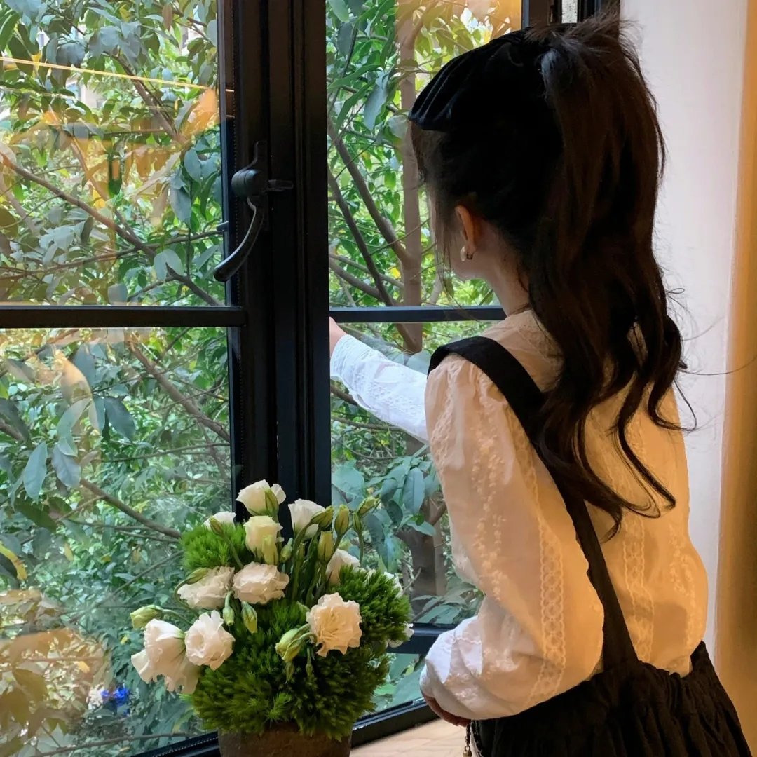 君子好逑 海报