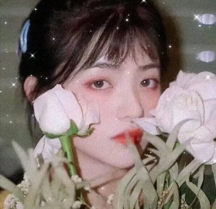 宝窗选婿 海报